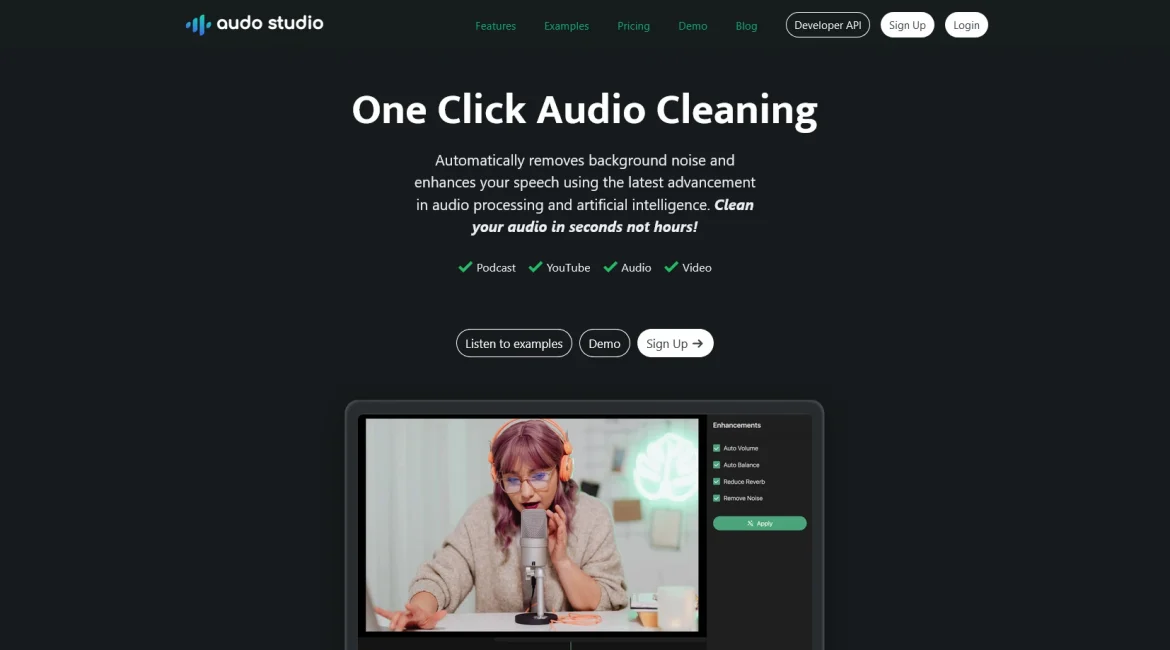 AI工具与服务推荐 - Audo Studio - AI音频处理工具 - 特色图片